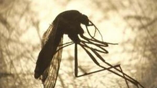World Malaria Day 2023: কেন পালন করা হয় বিশ্ব ম্যালেরিয়া দিবস? কেন এই দিনটির গুরুত্ব একই রকম আছে
