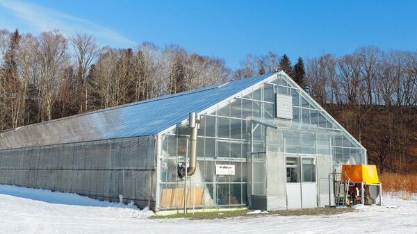 <p>ফাইল ছবি: ব্লুমবার্গ</p>