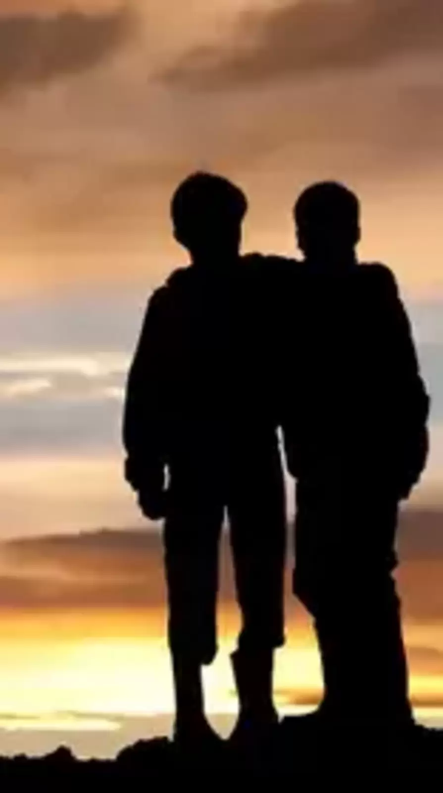 মেষ থেকে মীন: 'বন্ধু রাশি' কোনগুলি?