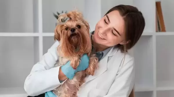 Pet care in summer: গরমে পোষ্য বারবার কাহিল হয়ে পড়ছে? কোন কোন অভ্যাস এই মরশুমে ভালো রাখবে ওকে