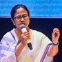 <p>মুখ্যমন্ত্রী মমতা বন্দ্যোপাধ্যায়। (ছবি, সৌজন্যে পিটিআই)</p>
