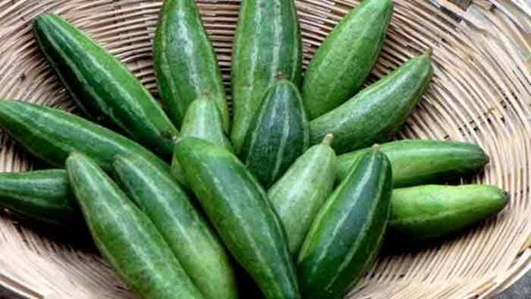 Pointed Gourd: পটল খেলেই পালাবে বহু সমস্যা! কী কী রোগ জব্দ করে জানলে রোজ খাবেন