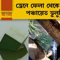 <p>ব্যালট</p>