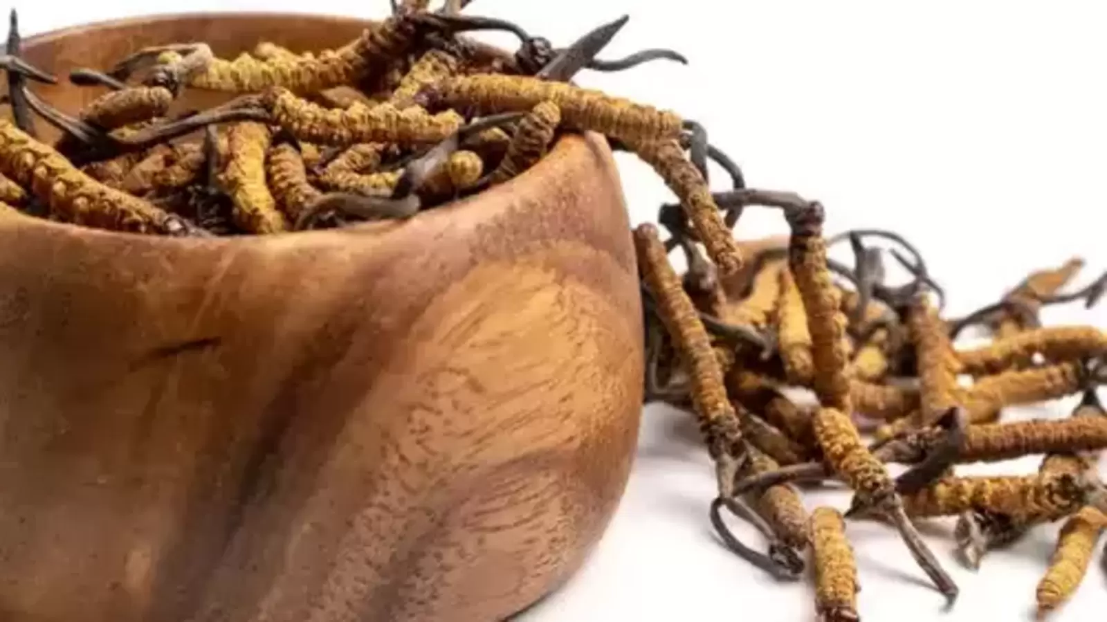 Yigit surati bilan etuk ayol Onlayn porno uchun alternativalar