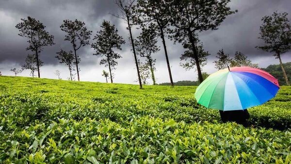 Weekend Tour Monsoon: বর্ষায় ঘুরতে যেতে মন আনচান? দীঘায় ভিড় না বাড়িয়ে যান ৫ জায়গায়, খরচ হাজার পাঁচ – You can explore these 5 place near from kolkata in low budget to enjoy monsoon