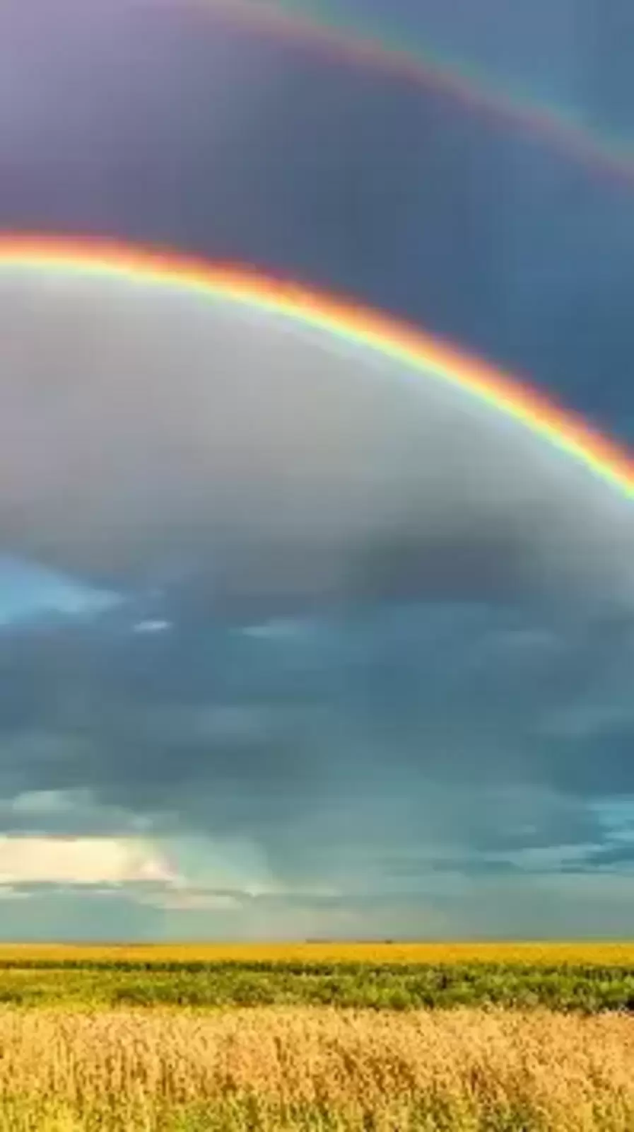 Signs Before Death: মৃত্যুর আগে কোন কোন লক্ষণ দেখা যায়? কী বলছে শিবপুরাণ