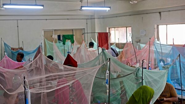 WB Dengue Update: উদ্বেগ বাড়ছে! চলতি সপ্তাহে ৬৭৫ জন ডেঙ্গি আক্রান্ত, নিয়ন্ত্রণে প্রচারেই জোর