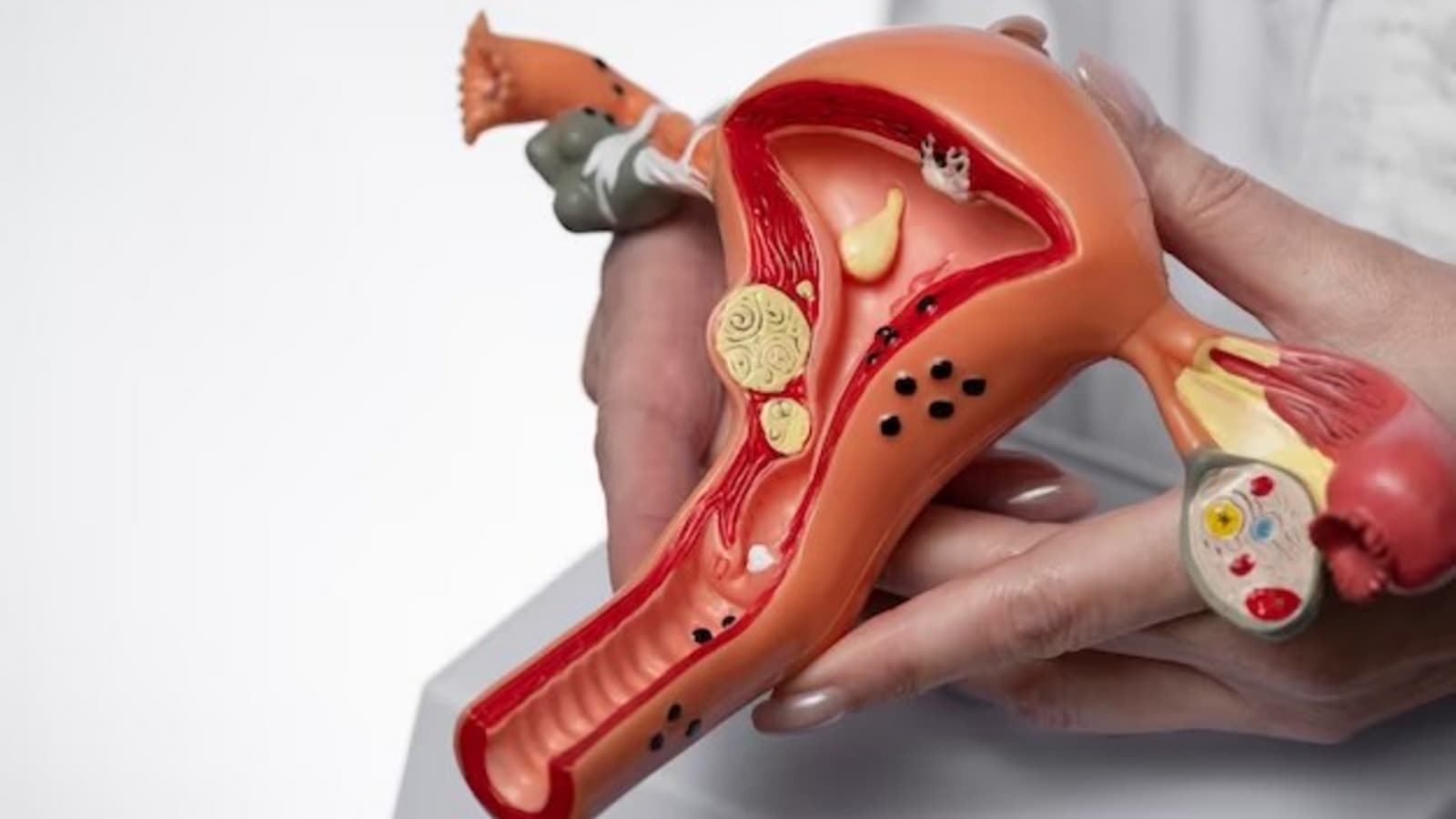 Есектегі шашы бар әйелдер