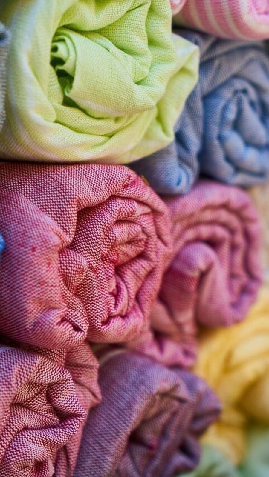 Tips to remove stains of fungus: বর্ষায় জামাকাপড়ে পড়ছে ফাঙ্গাসের দাগ? তুলে ফেলুন এই সহজ উপায়ে