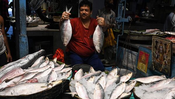 Ilish mach in Kolkata: বাঙালিকে ধোঁকা দিচ্ছে ‘বহিরাগত’ গুজরাটের ইলিশ! সস্তায় মিললেও নেই কোনও স্বাদ