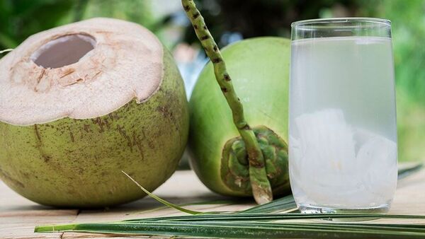 Coconut water Benefits: পুজোয় ঠাকুর দেখার ফাঁকে ডাবের জল খাচ্ছেন তো! উপকারিতা শুনলে চমকে উঠবেন – Coconut water benefits helps in health and skin care good for durga puja 2023 pandal hopping