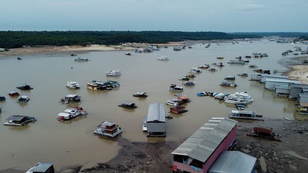 Amazon River: আমাজন নদীর জলতল কমল রেকর্ড পরিমাণ! নেই খাবারও, সঙ্কটে লাখ লাখ মানুষ