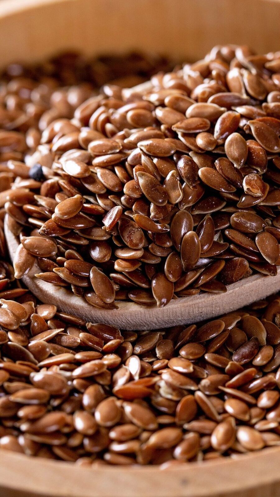 Flax Seeds Benefits: একাধিক পুষ্টিগুণে ভরপুর, এই পুজোয় কেন খাবেন ফ্ল্যাক্সসিডস