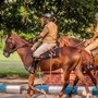 <p>কলকাতা মাউন্টেড পুলিশ। ফাইল ছবি</p>