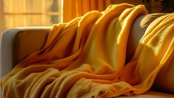 Winter Blanket Cleaning tips: লেপ, কম্বল পরিষ্কারের ঝক্কি নিয়ে টেনশন? এই সহজ উপায়ে রাখুন পরিচ্ছন্ন – How to wash Blankets easily in Winter know tips in bengali