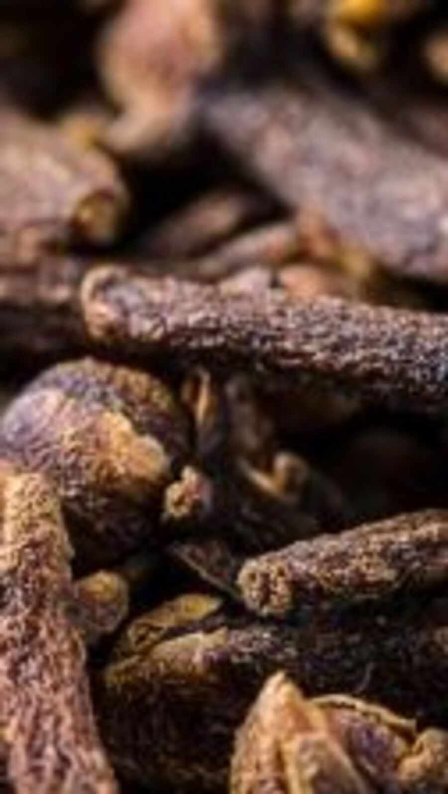 লবঙ্গের ব্যবহারে শরীর থাকবে চাঙ্গা, জেনে নিন ব্যবহারের নিয়ম