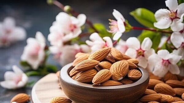 Almonds Benefits: হজমের জন্য চরম উপকারী এই ফল! রক্তচাপ নিয়ন্ত্রণে রাখতেও সাহায্য করে – Almonds Benefits: Know some benefits of almonds.