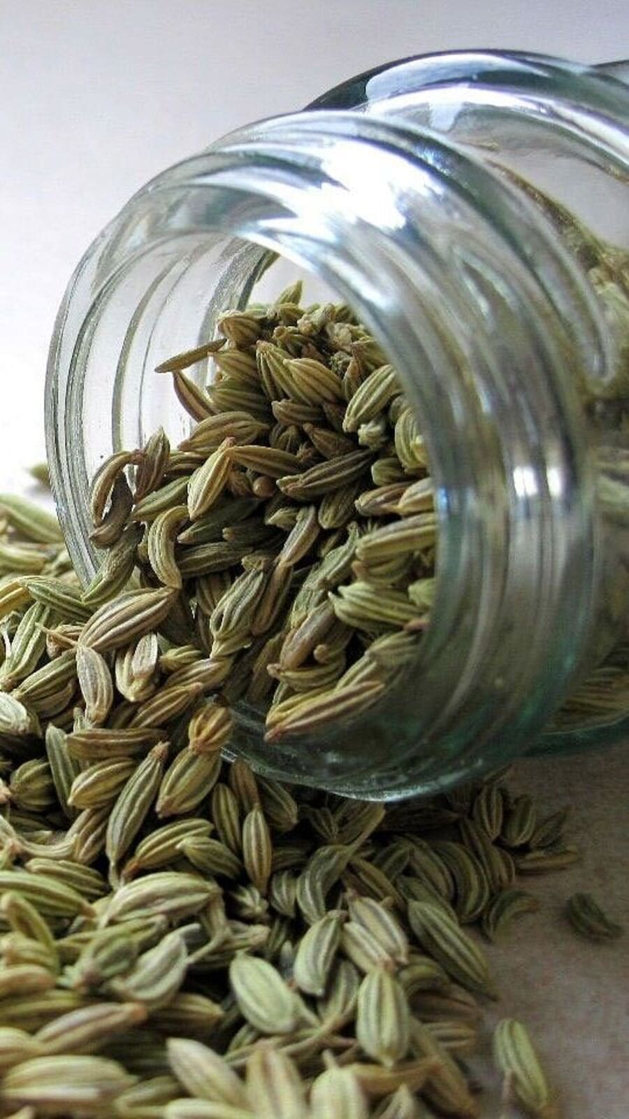  Stories in Bangla, Visual Stories in Bangla বাংলায় ওয়েব স্টোরিজ