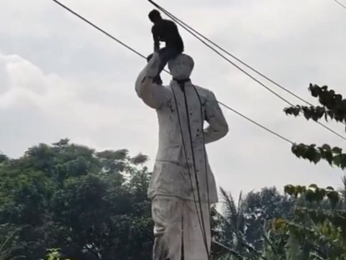 Bangabandhu's Statue Vandalized: হাসিনার পদত্যাগের দাবিতে বাংলাদেশে এবার ভাঙা হল বঙ্গবন্ধুর মূর্তি, ভাইরাল ভিডিয়ো - Bangabandhu Mujib ur Rahaman's Statue Vandalised in Bangladesh ...