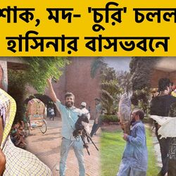 Bangladesh Unrest Video: হাসিনার বাসভবন থেকে শাকসবজি, সোফা, বালিশ নিয়ে পালাল বিক্ষোভকারীরা; জুতো পরে শুয়ে পড়ল বিছানায়