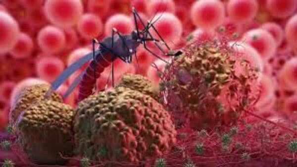 Chandipura virus: জুলাই মাসেই গুজরাটে চাঁদিপুরা ভাইরাসে মৃত্যু ২৮ শিশুর, জানালেন স্বাস্থ্যমন্ত্রী