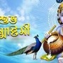 জন্মাষ্টমী উপলক্ষে প্রিয়জনকে পাঠান শুভেচ্ছা বার্তা(প্রতীকী ছবি )