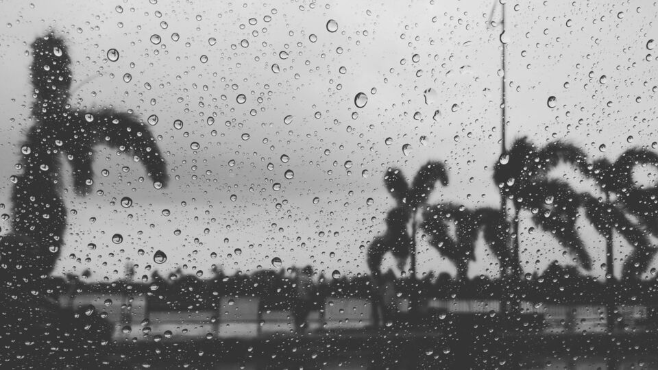 সপ্তাহের ব্যস্ত শহর থেকে জেলার আকাশের মুখ ভার থাকার আভাস দিয়েছে আবহাওয়া দফতর। সোমবার থেকেই তেড়ে বৃষ্টির সম্ভাবনা রাজ্যের বহু এলাকায়। ফের একবার মুষলধার বর্ষণে ভিজতে পারে জেলাগুলির নানান জায়গায়। কারণ, গাঙ্গেয় পশ্চিমবঙ্গের উপর এন্ট্রি নিয়েছে আরও এক নিম্নচাপ। এর জেরে বাংলার আবহাওয়া কেমন থাকবে, দেখে নিন।