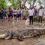 বনদফতর জানিয়েছে, সবচেয়ে ছোট যে কুমিরটি উদ্ধার করা হয়েছে সেটা হল দু ফুট লম্বা। আর সবথেকে বড় যে কুমিরটা পাওয়া গিয়েছে সেটা ১৪ ফুট লম্বা। কামনাথ নগর এলাকা থেকে এটা পাওয়া গিয়েছে। স্থানীয়রাই এটা দেখতে পেয়ে খবর দেন বনদফতরকে। (PTI Photo) (PTI) বনদফতর জানিয়েছে, সবচেয়ে ছোট যে কুমিরটি উদ্ধার করা হয়েছে সেটা হল দু ফুট লম্বা। আর সবথেকে বড় যে কুমিরটা পাওয়া গিয়েছে সেটা ১৪ ফুট লম্বা। কামনাথ নগর এলাকা থেকে এটা পাওয়া গিয়েছে। স্থানীয়রাই এটা দেখতে পেয়ে খবর দেন বনদফতরকে। (PTI Photo) (PTI)