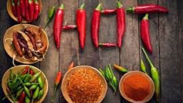 Is spicy food unhealthy: সত্যি কি ঝাল মশলাদার খাবার অস্বাস্থ্যকর? পুষ্টিবিদরা কিন্তু বলছেন অন্য কথা