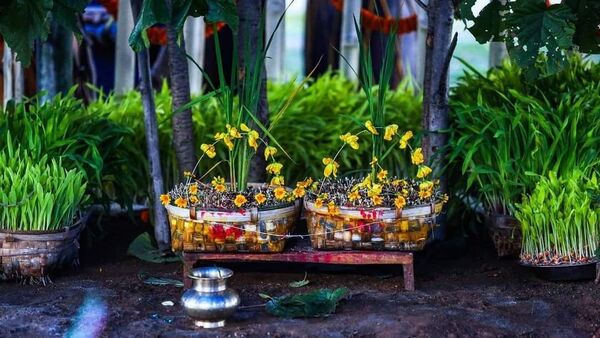 Karam Puja 2024: করম পুজো কী? কারা করেন এই পুজো? এর ইতিহাস এবং মাহাত্ম্য চমকে দেওয়ার মতোই – Karam Puja 2024: What is Karam Puja? Who does this worship? Its history and greatness are astounding