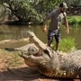 বিশ্বের সবচেয়ে বয়স্ক কুমিরের ভিডিয়ো ভাইরাল (@cavemanrob/Instagram- Screenshot )