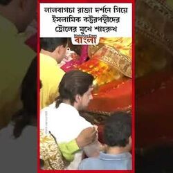 লালবাগচা রাজা দর্শনে গিয়ে ইসলামিক কট্টরপন্থীদের ট্রোলের মুখে শাহরুখ