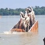 বিশ্বকর্মা মূর্তি বিসর্জনের সময় গঙ্গায় তলিয়ে গেল লরি, একের পর এক নদীতে ঝাঁপ