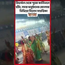 রিহার্সাল থেকে পুজো কার্নিভালে হাঁটা, সমস্ত অনুষ্ঠানের কোলাজ ভিডিয়ো দিলেন সায়ন্তিকা