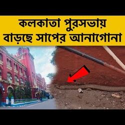 কী বললেন অতীন থেকে শোভনরা?