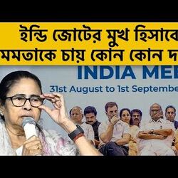 ইন্ডি জোটের মুখ হিসাবে মমতাকে চায় কোন কোন দল?