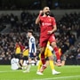 রবিবার রাতে প্রিমিয়ার লিগের ম্যাচে মুখোমুখি হয়েছিল লিভারপুল এবং টটেনহ্যাম।  এদিন শুরু থেকেই ম্যাচে দাপট দেখাত থাকে দ্য রেডসরা। নির্ধারিত সময়ের শেষে খেলার ফলাফল ছিল ৬-৩। স্বভাবতই এতো বড় জয়ের পর বেশ আত্মবিশ্বাসী লিভারপুলের ফুটবলাররা।  (AP)