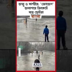 'ফ্রোজেন' জলাশয়ে ক্রিকেটে ব্যস্ত ছোটরা