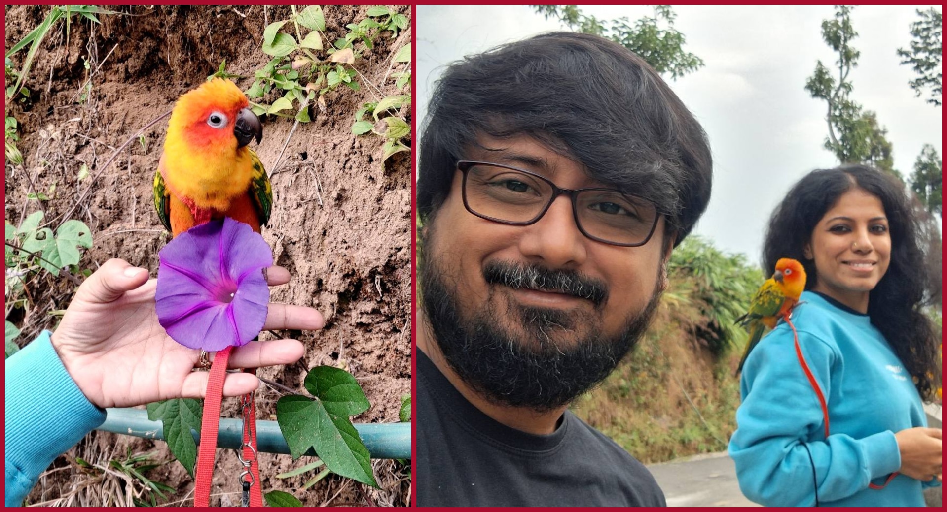 শব্দবাজি কোপে চলে গেল লুডো। শব্দবাজি কোপে চলে গেল লুডো।