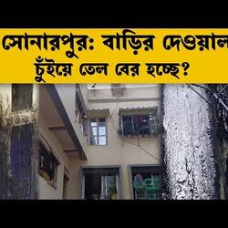 বাড়ির দেওয়াল চুঁইয়ে বেরিয়ে পড়ছে তেল!