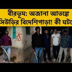 অজানা প্রাণী নাকি চোর, দাপাদাপিতে তটস্থ সিউড়ির বাসিন্দারা