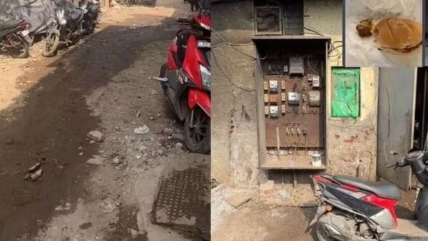 অনলাইনে পনির অর্ডার দিয়ে চিকেন পেলেন গ্রাহক, এরপর যা ঘটল তা আরও আশ্চর্যজনক