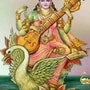 এই উৎসব বসন্ত ঋতুর আগমনকে চিহ্নিত করে এবং জ্ঞান, বিদ্যা এবং শিল্পের দেবী সরস্বতীকে সম্মান জানায়। ভক্তরা হলুদ পোশাক পরে&nbsp;পুজো করে এবং জ্ঞান ও সমৃদ্ধির জন্য প্রার্থনা করে এটি উদযাপন করেন।