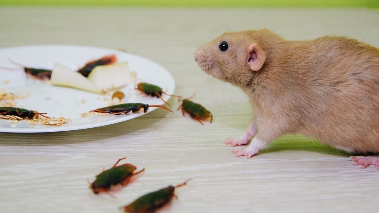 Toliq metrajli retro porno juda chiroyli