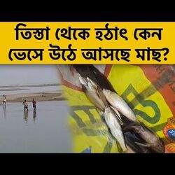 তিস্তা ঘিরে ঘনাচ্ছে রহস্য