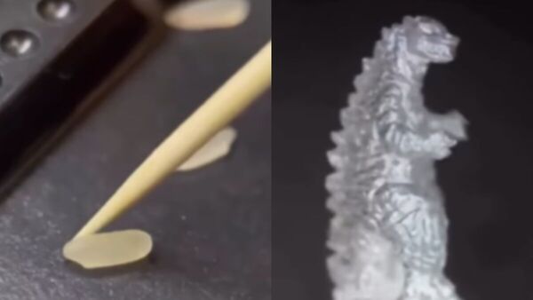 একটি মাত্র চাল থেকে তৈরি গড়জিলা! রুশ গয়নাশিল্পীর কীর্তি দেখলে অবাক হবেন