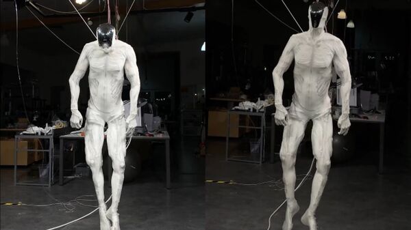 দুই পায়ে হাঁটবে ওরাও! ‘মানুষের শেষ এখানেই’- রোবটের ভিডিয়ো দেখে চিন্তায় নেটিজেন