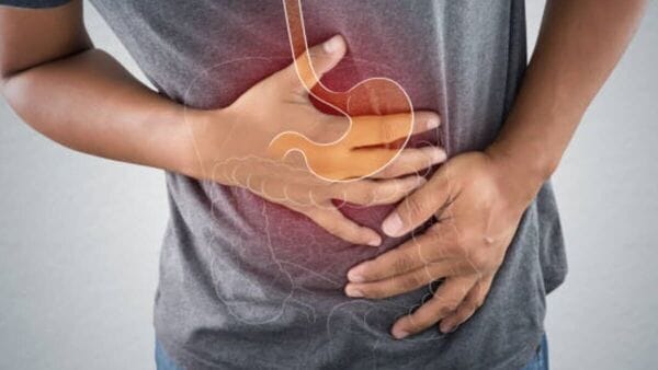 অন্ত্রে গুড ব্যাকটেরিয়া কমে গেলেই দেখা দেয় এসব লক্ষণ! পেট সাফ রাখতে সতর্ক হোন অন্ত্রে গুড ব্যাকটেরিয়া কমে গেলেই দেখা দেয় এসব লক্ষণ! পেট সাফ রাখতে সতর্ক হোন