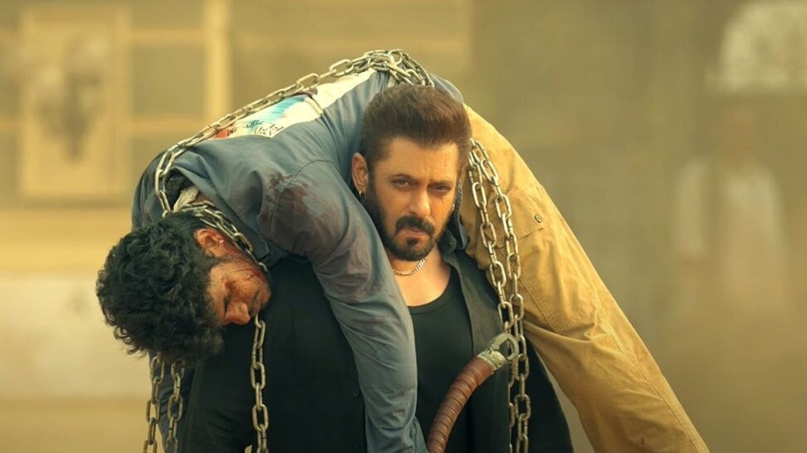 Kichik jinsiy lablari bolmagan mushuk