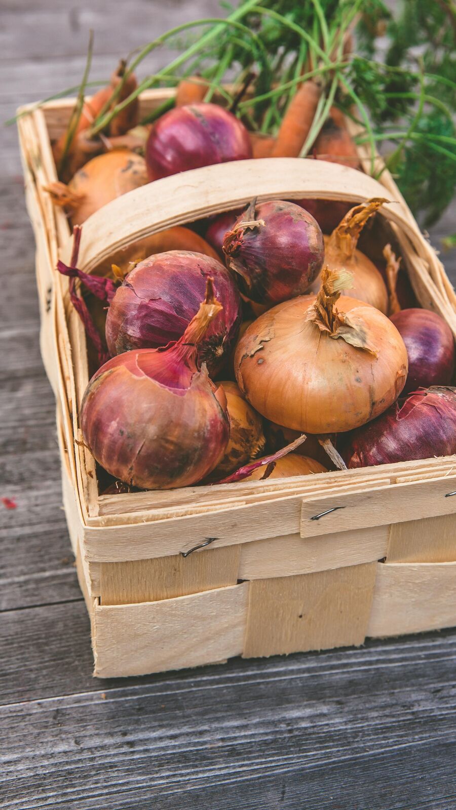 প্রতিদিন ভাতপাতে এক কামড় কাঁচা পিঁয়াজ, ৭ উপকার করবে